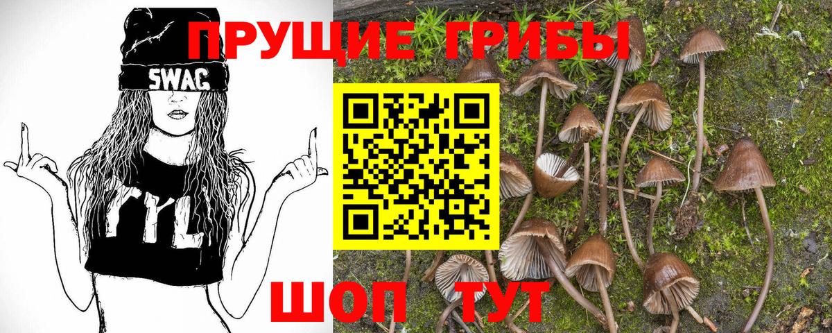 Галлюциногенные грибы Cubensis  Вход с VPN  Наро-Фоминск 